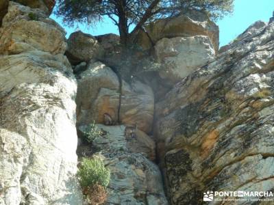 Sierra de los Porrones - Ruta de las Cabras; iniciacion senderismo rutas montaña cerca madrid